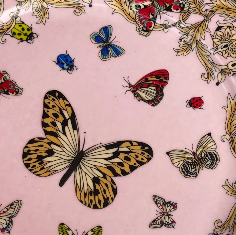 Italia Butterfly Pink 18 Piece Plate Set