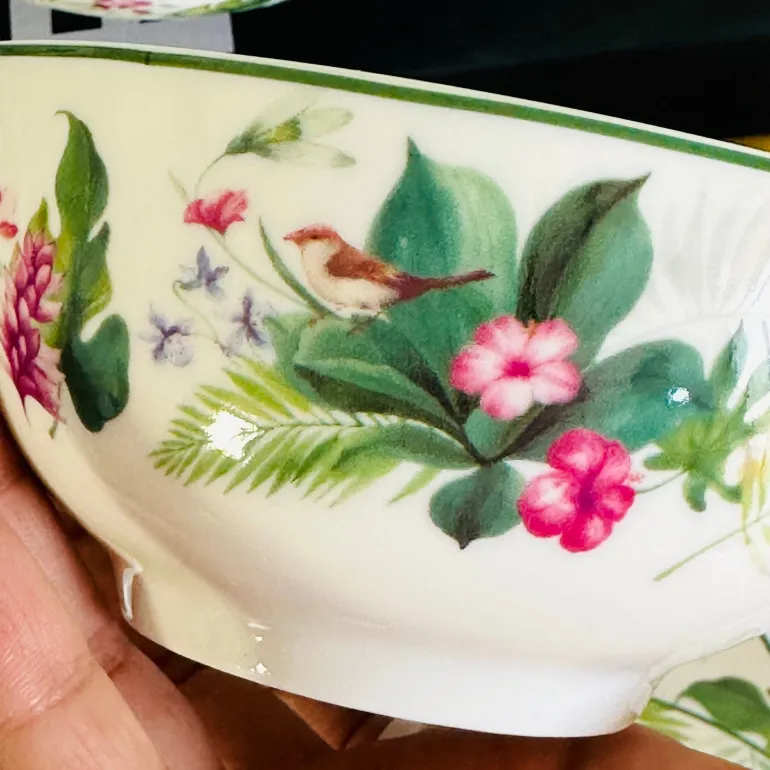 Rainforest Reverie Plate Set (18 Piece Plate Set)