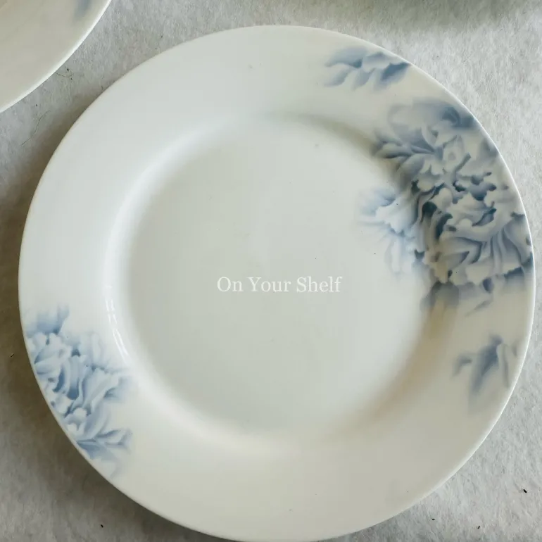 Serene Mist Plates (18 Piece Plate Set)
