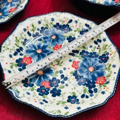 The Blue Ethnic Series (24 piece plate set)